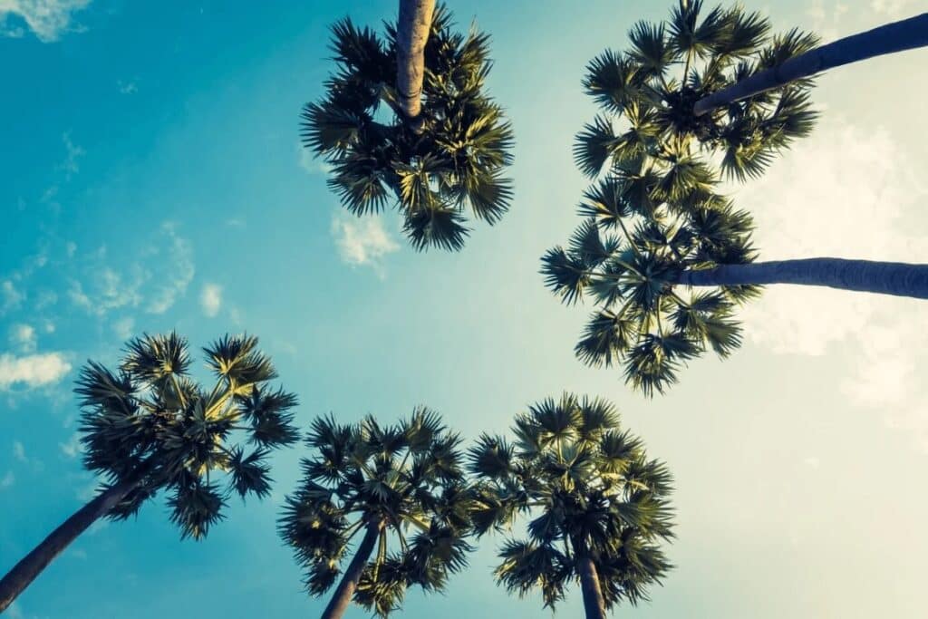 addiction-recovery-palm-springs