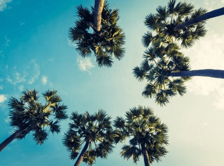 addiction-recovery-palm-springs