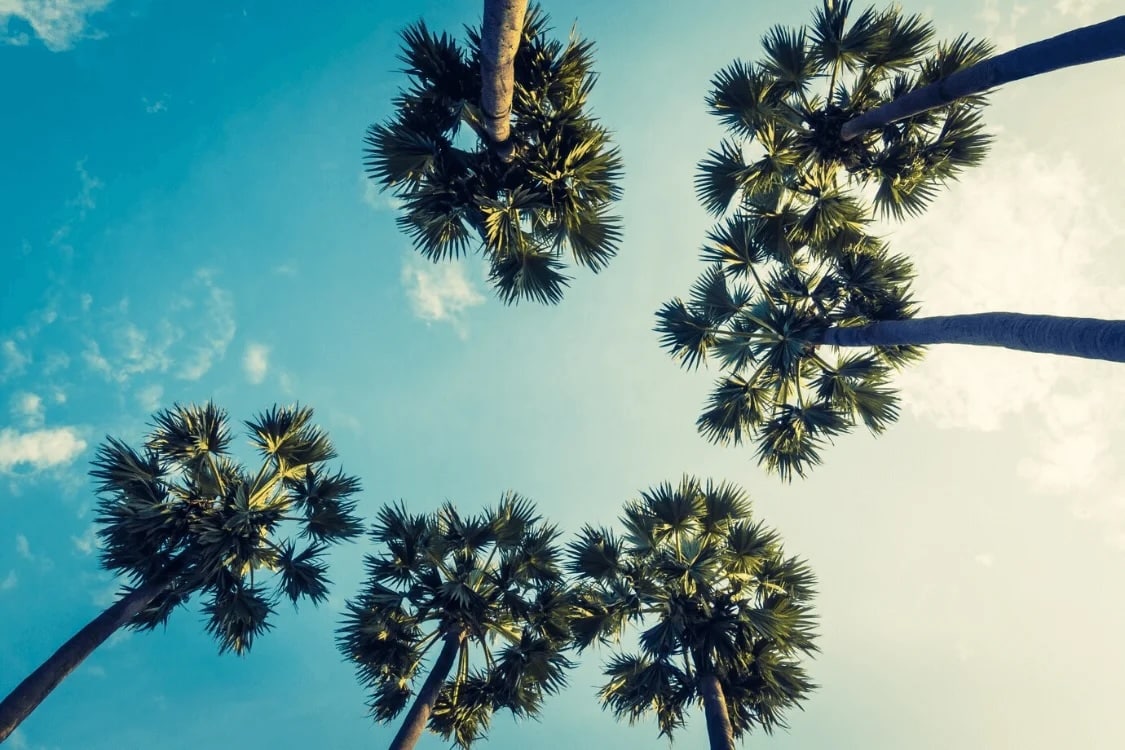 addiction-recovery-palm-springs