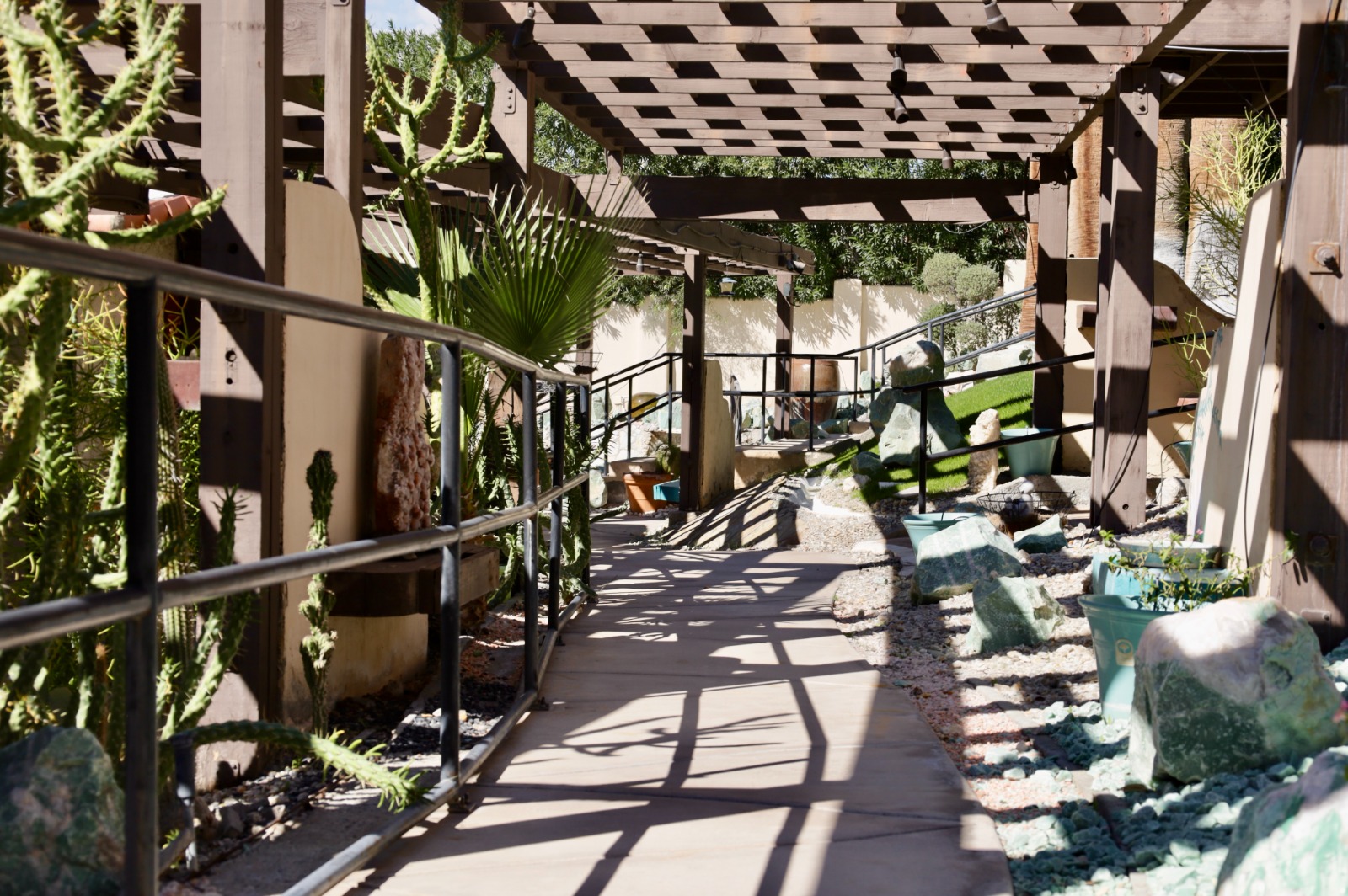 Living Longer Recovery (11)