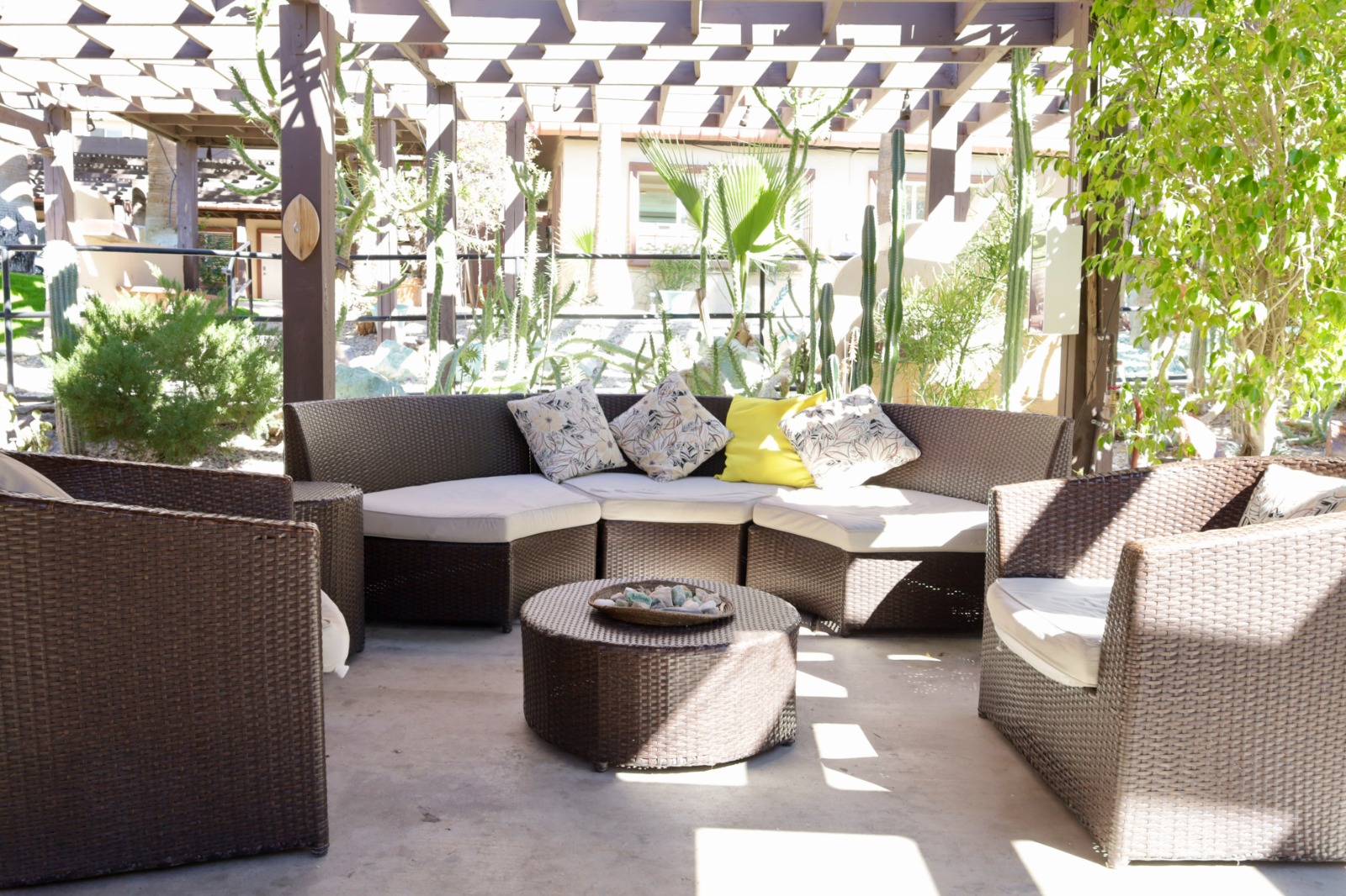 Living Longer Recovery (14)