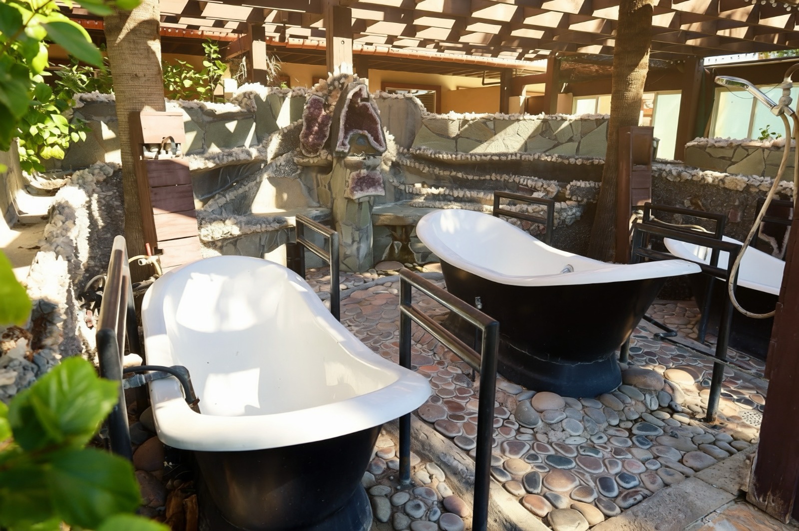 Living Longer Recovery (16)