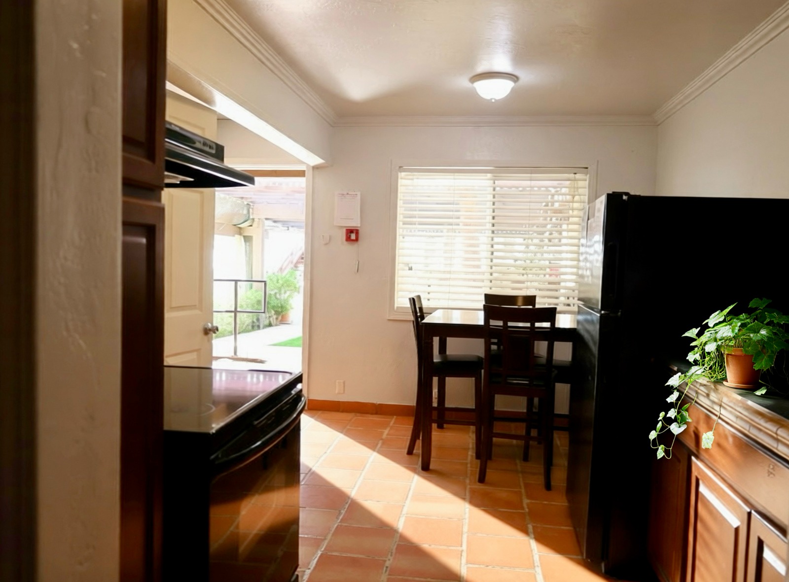 Living Longer Recovery (17)