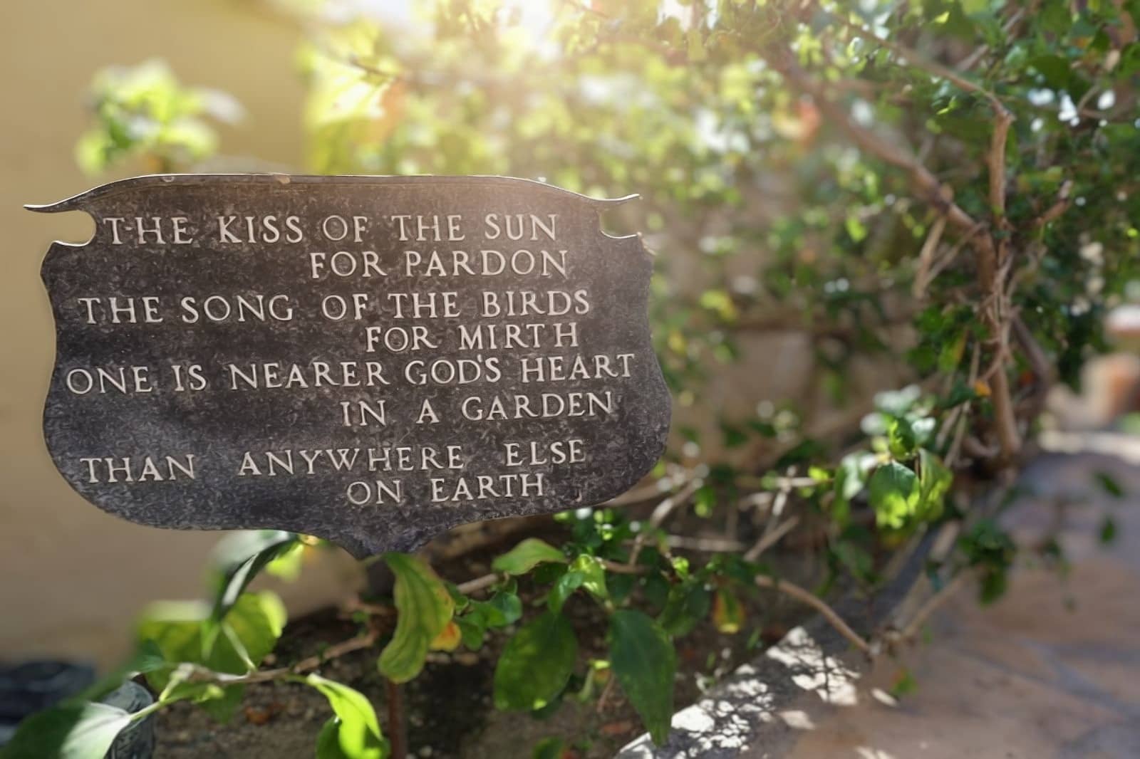 Living Longer Recovery (5)