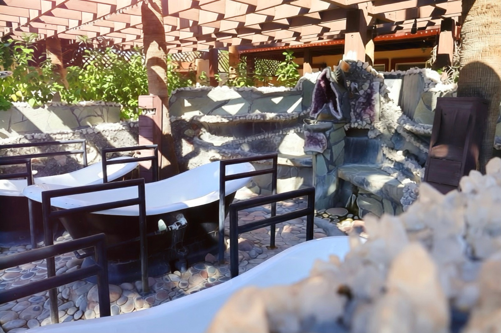 Living Longer Recovery (6)