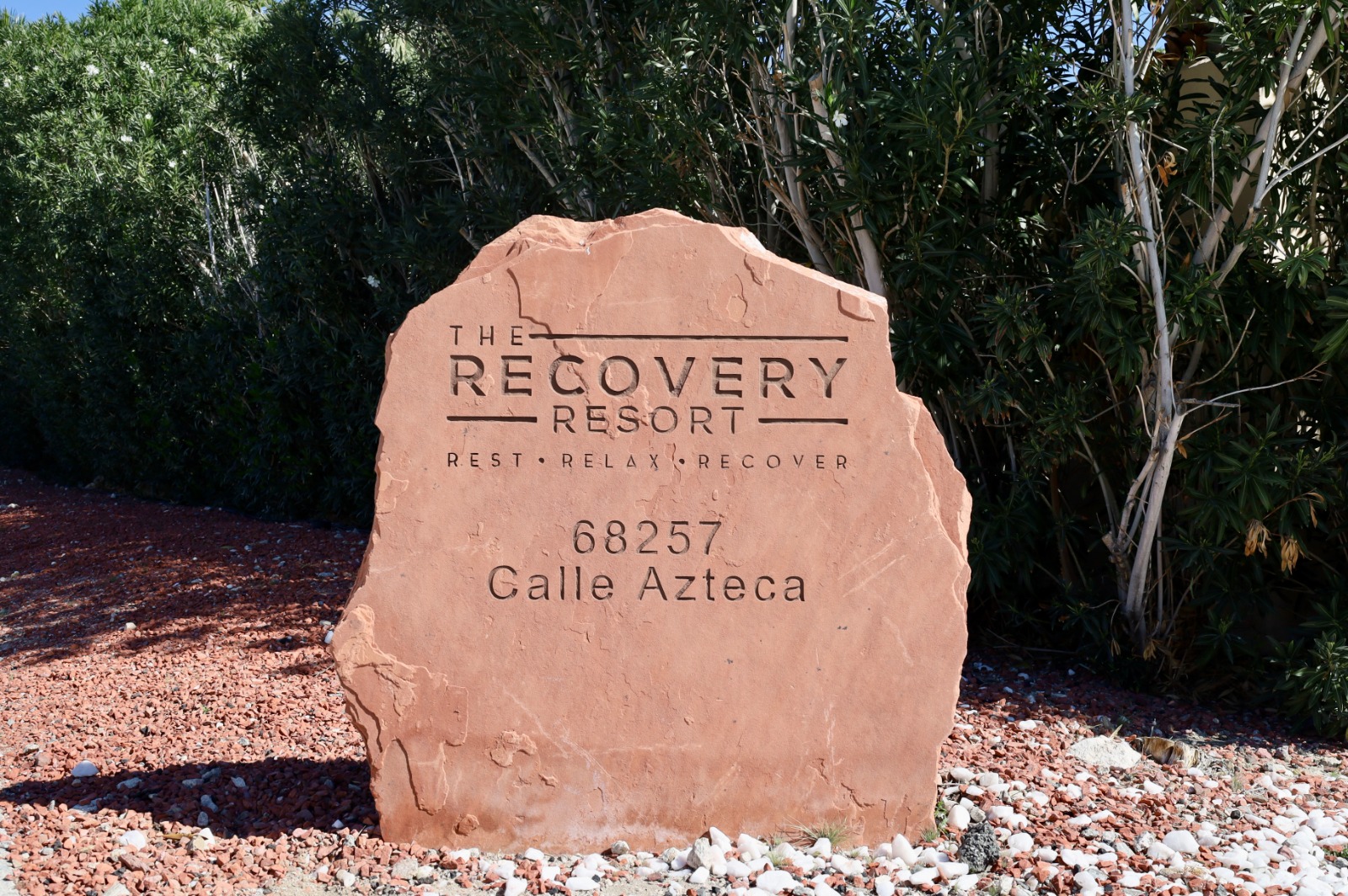 Living Longer Recovery (9)